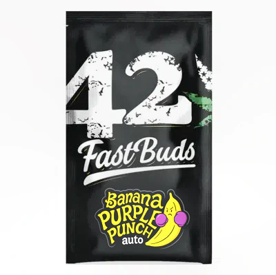 Banana Purple Punch Auto - FastBuds - Image 2