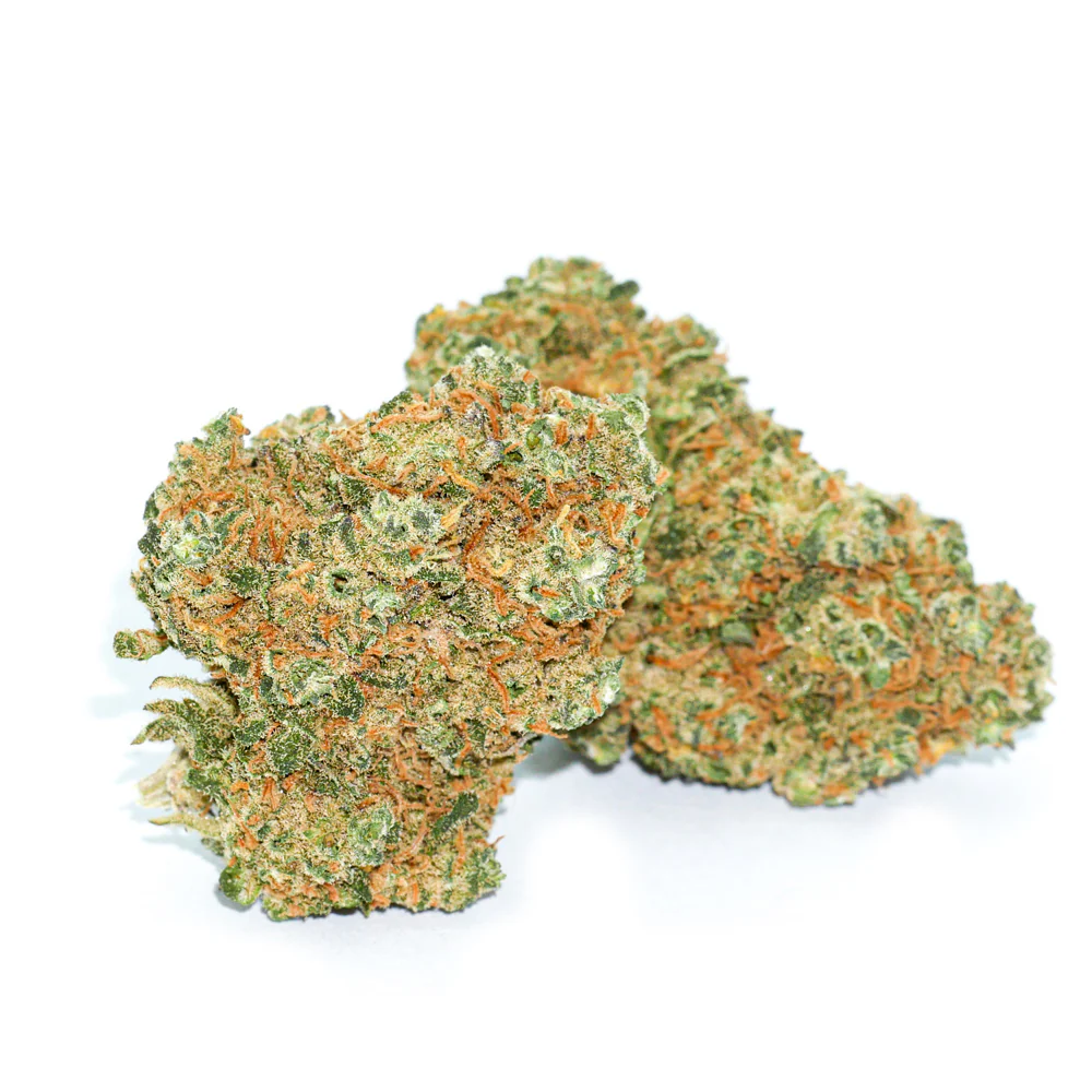 Blueberry Muffin