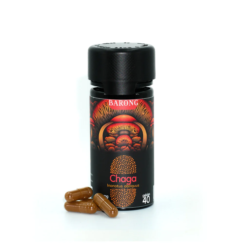 CHAGA - Champignon médicinal - Gélules x40