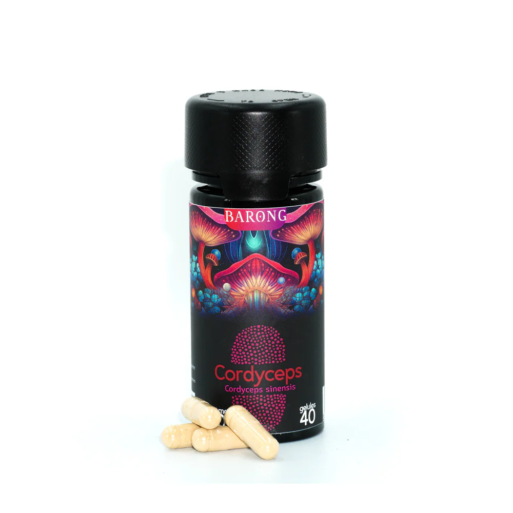 Cordyceps - Champignon médicinal - Gélules x40