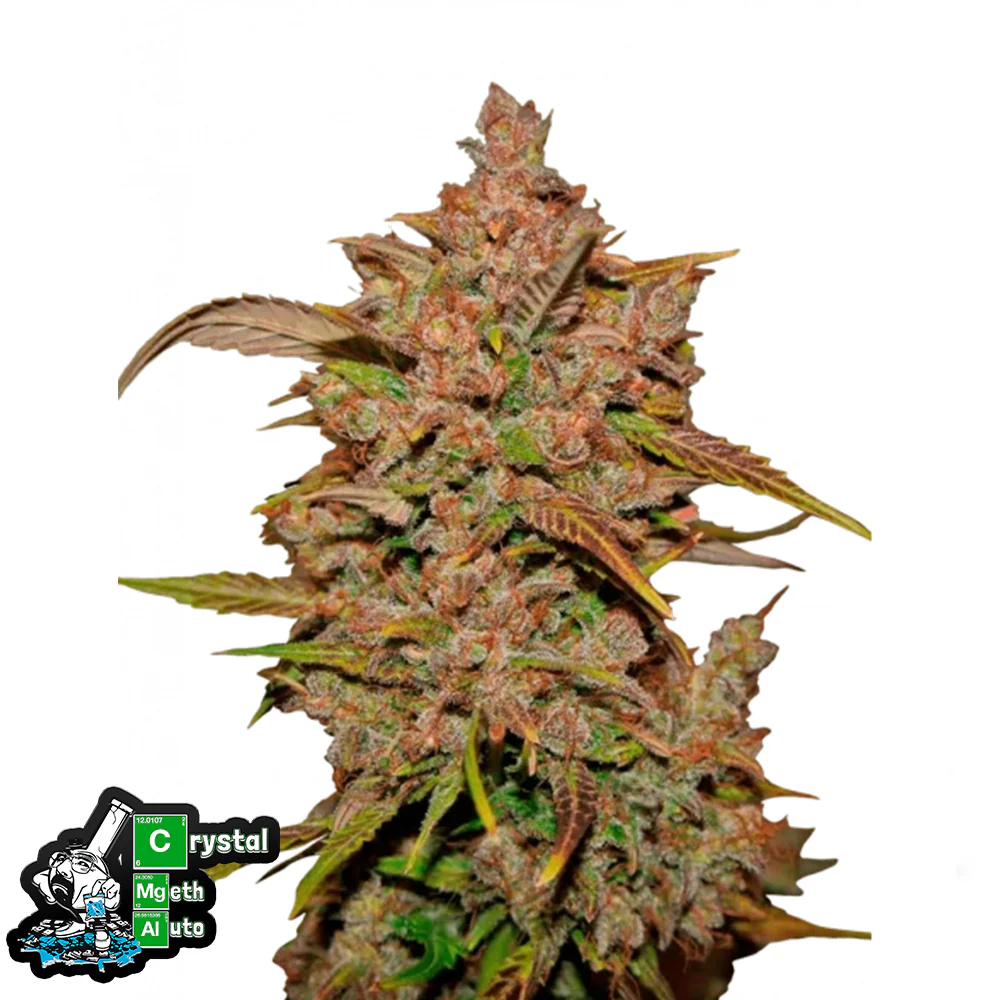 Crystal METH Auto - FastBuds