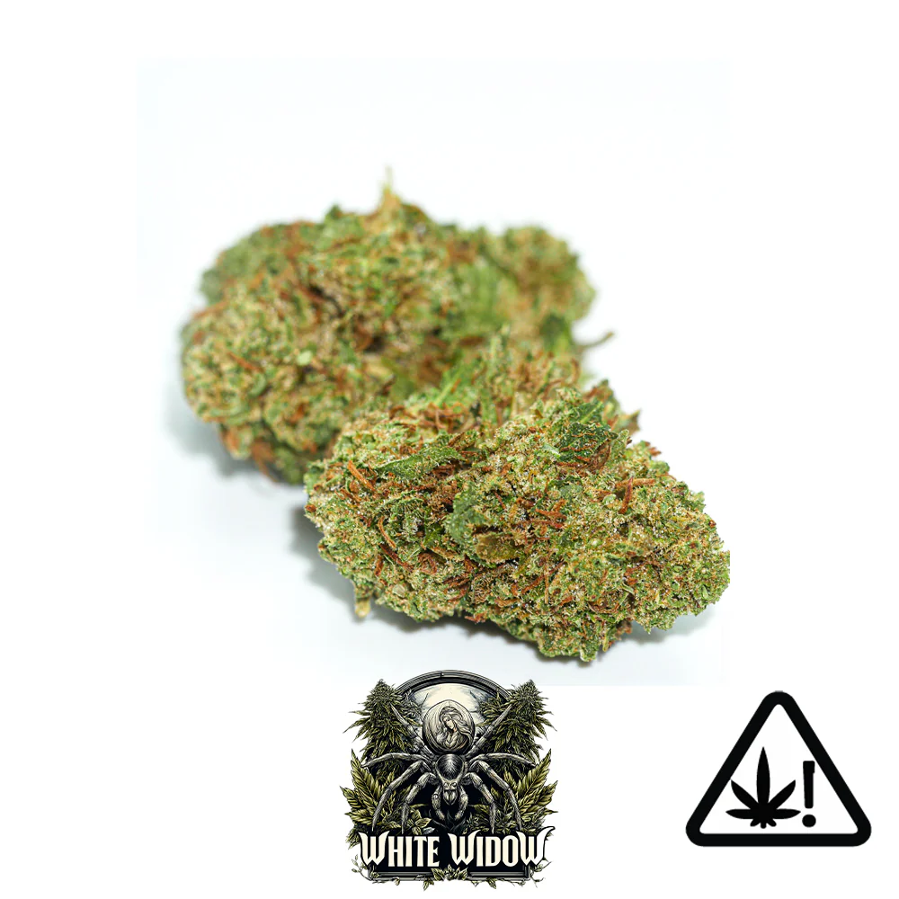 Fleur HCE - White Widow 20% 🕸️ - Image 2