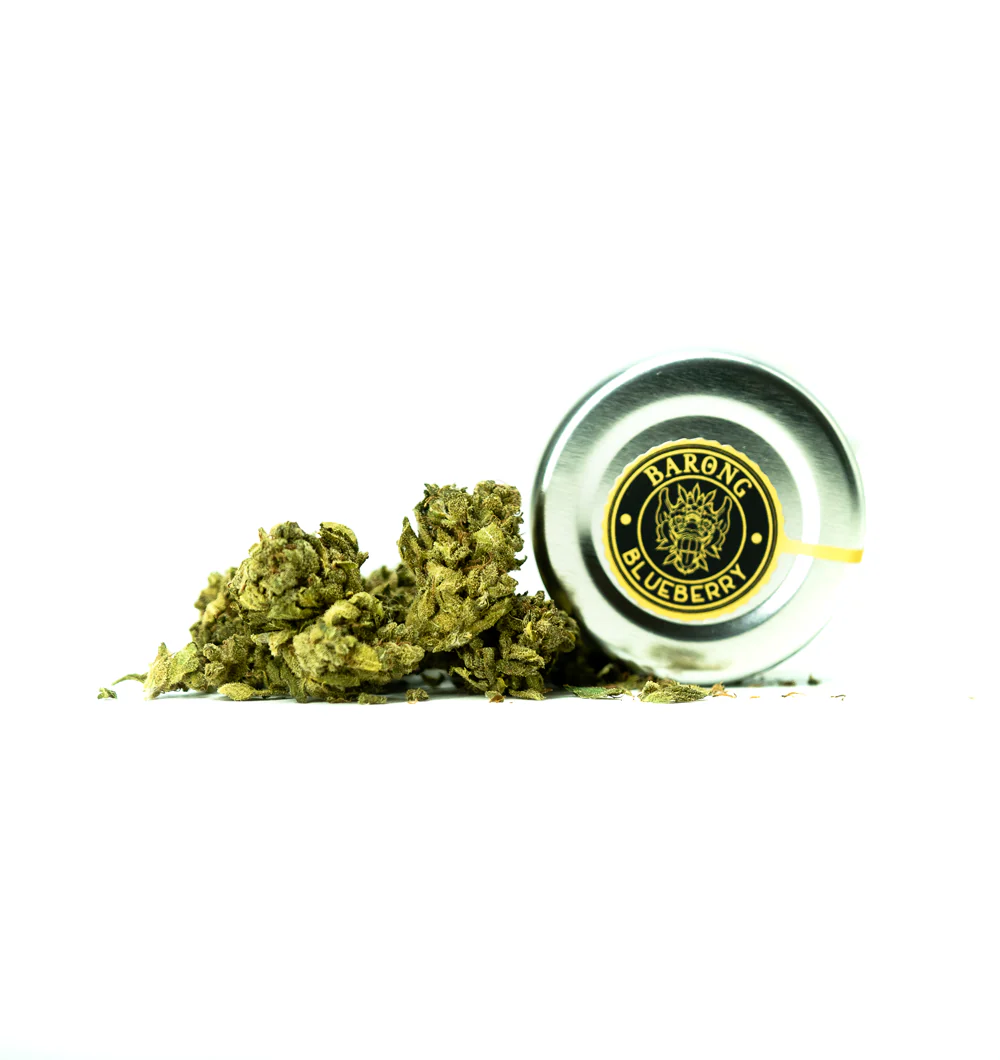 Blueberry CBD 🟣🍬 - Image 2