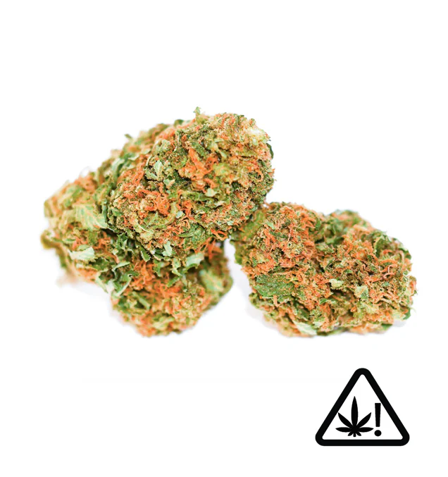 Fleurs THCP - Black domina 5%