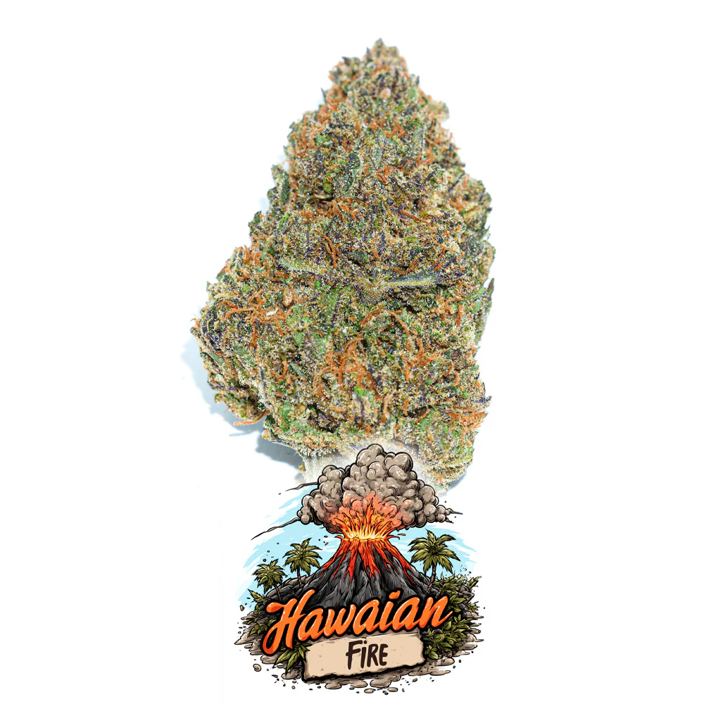 Hawaiian Fire 🌺🔥