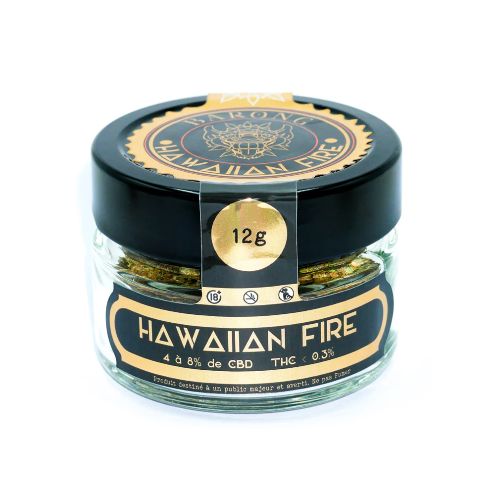 Hawaiian Fire 🌺🔥 - Image 3