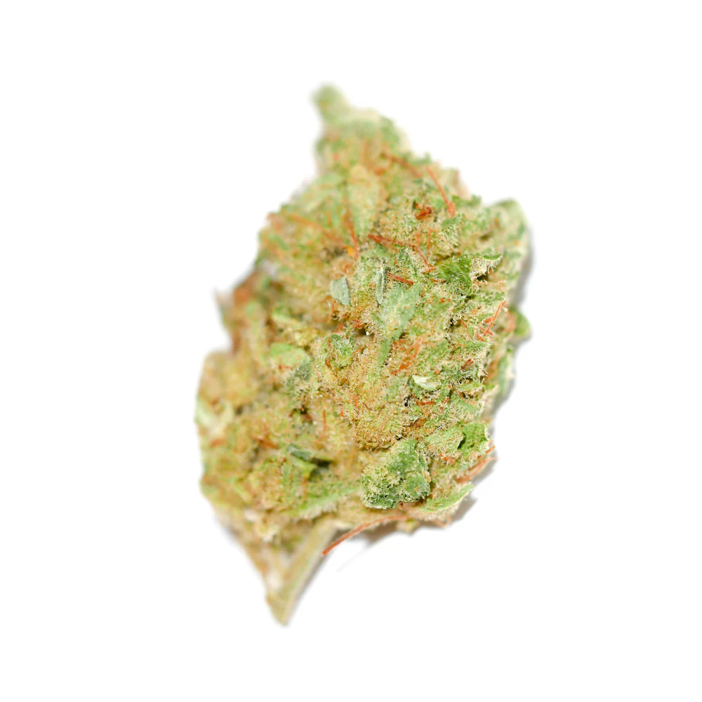 Moby Dick CBD 🍊🌲