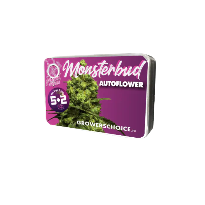 Monsterbud Autofloraison – Growers Choice - Image 2