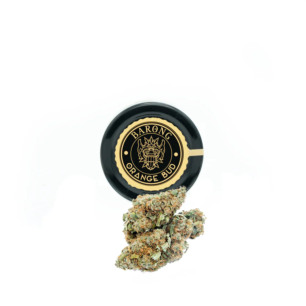 Orange Bud 🍊🍯 - Image 3