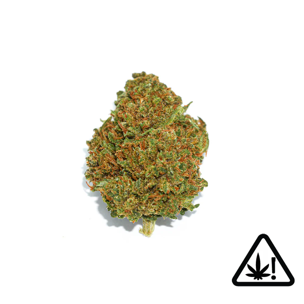 Pink Panther - Fleur nano-D9
