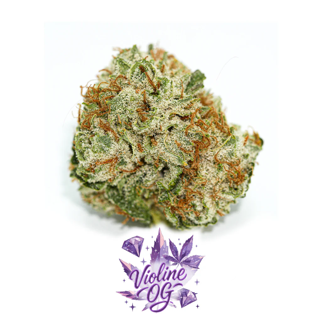 Violine OG - PREMIUM ☮️🥇💎
